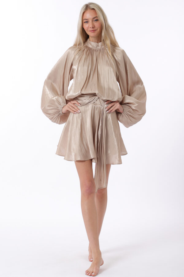 Elastic back waisted organza mini dress - Image 7