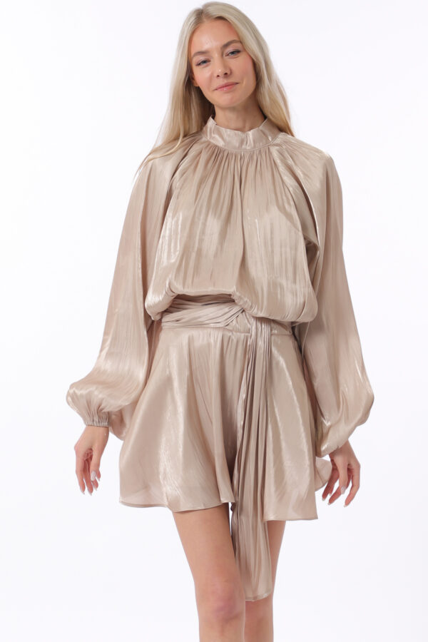 Elastic back waisted organza mini dress - Image 3
